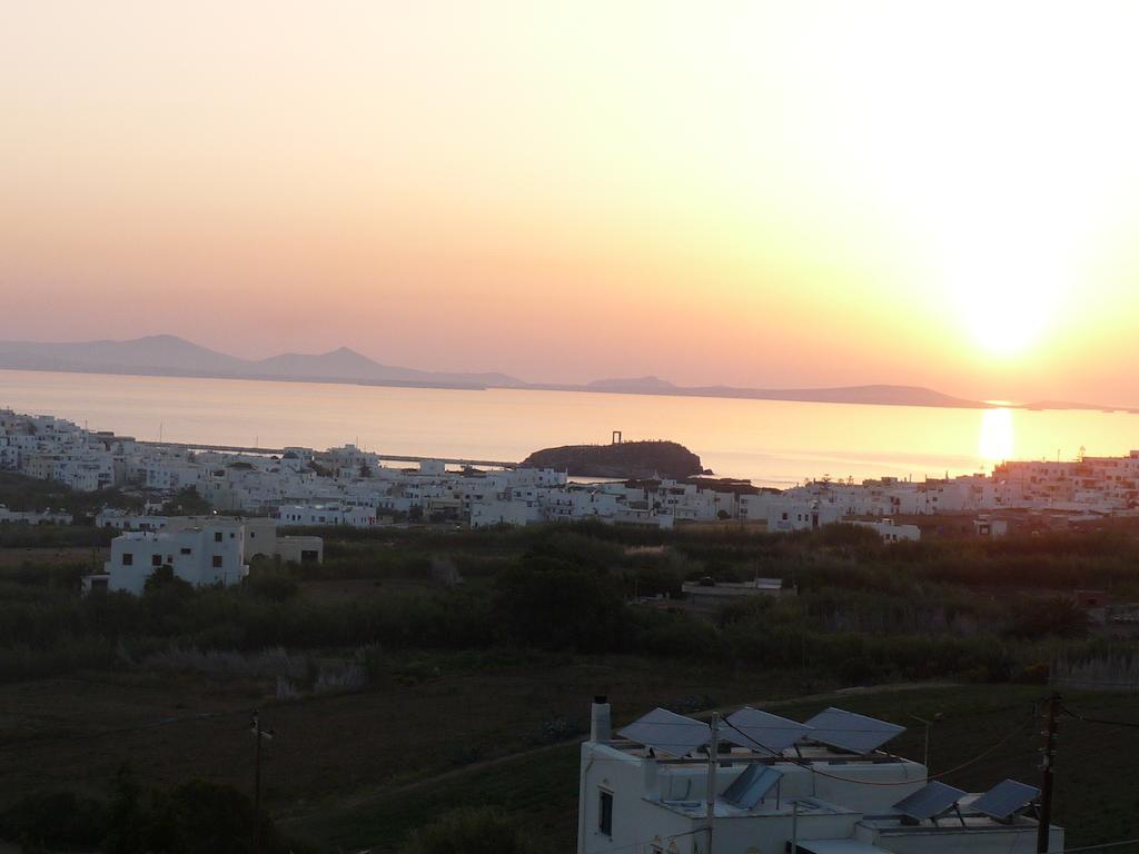 Paradisia Villas Naxos City Buitenkant foto