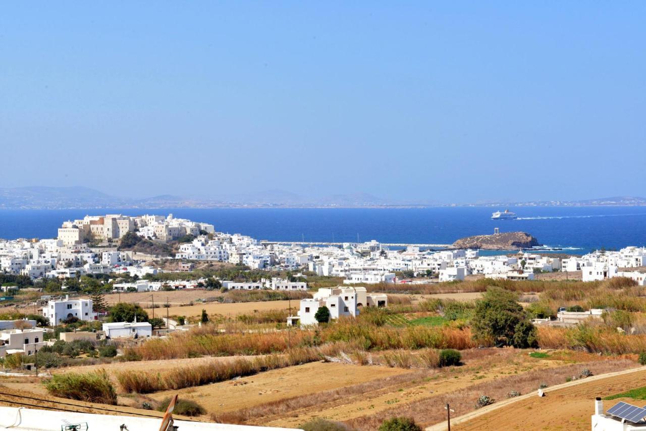 Paradisia Villas Naxos City Buitenkant foto