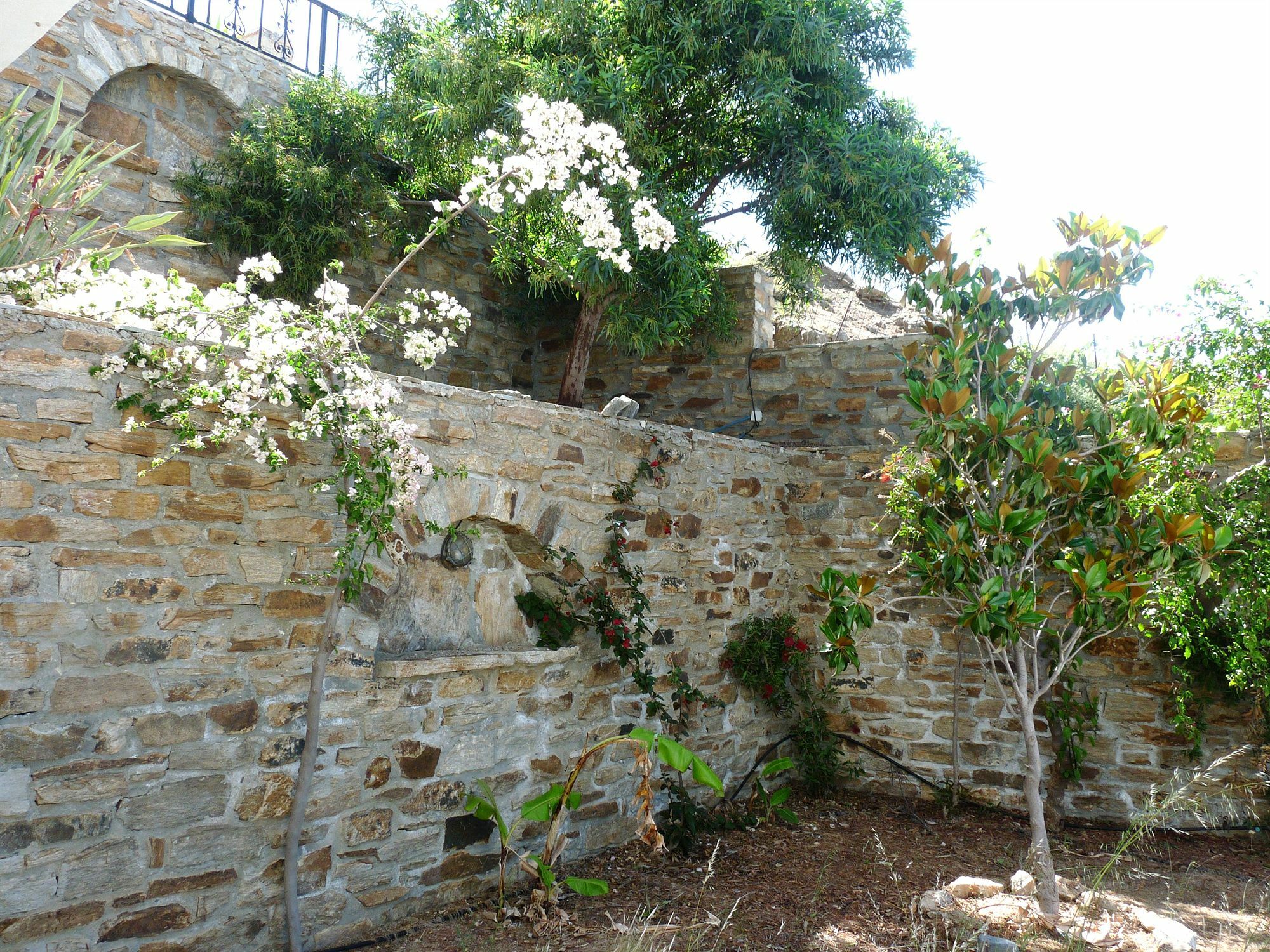 Paradisia Villas Naxos City Buitenkant foto